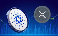Kje bosta XRP (Ripple) in Cardano (ADA) čez pet let? Zakaj bi lahko žeton XYZ oba presegel še letos?