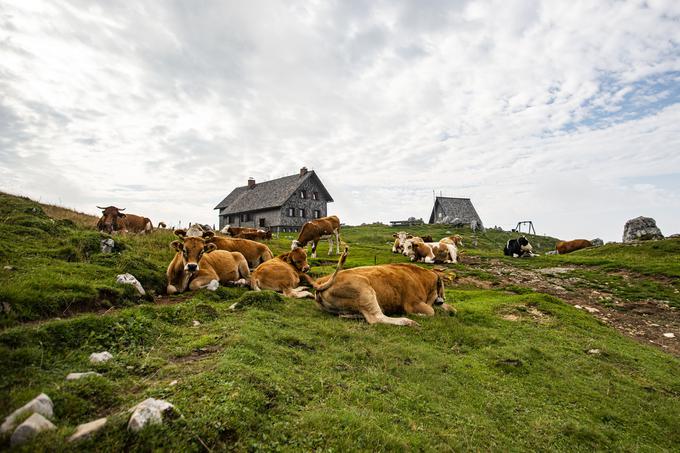 ... na Ratitovcu se spremembe obetajo v prihodnjem letu.  | Foto: Peter Podobnik