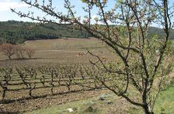 Bordeaux, Burgundija in Šampanja … Kaj pa Languedoc?