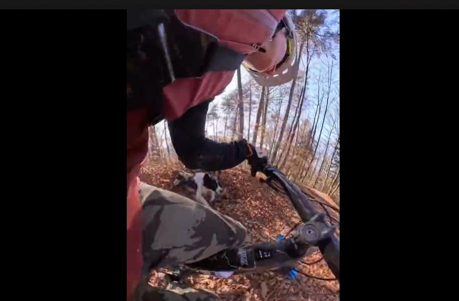 Slovenski športnik je doživel napad v gozdu #video