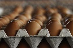 Pomembni vitamini se skrivajo tudi v jajcih