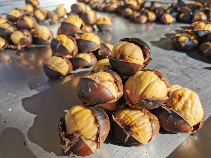 kostanj | Foto: Shutterstock
