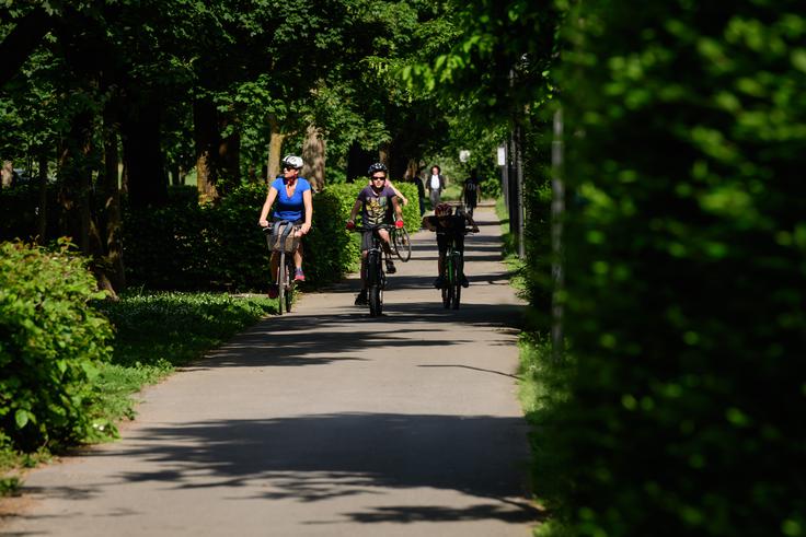 Pot ob žici 2020 | Foto: Nebojša Tejić/STA