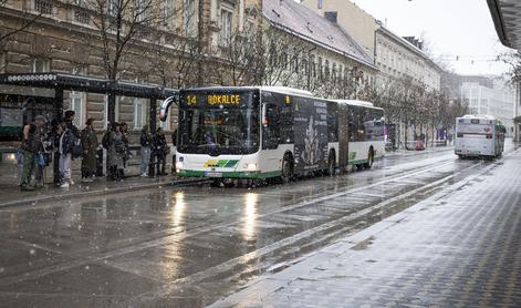 Se bodo vozovnice za mestni avtobus podražile?
