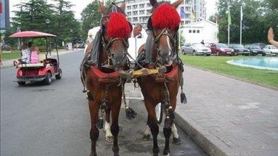 Sončna obala, bolgarska meka zabave