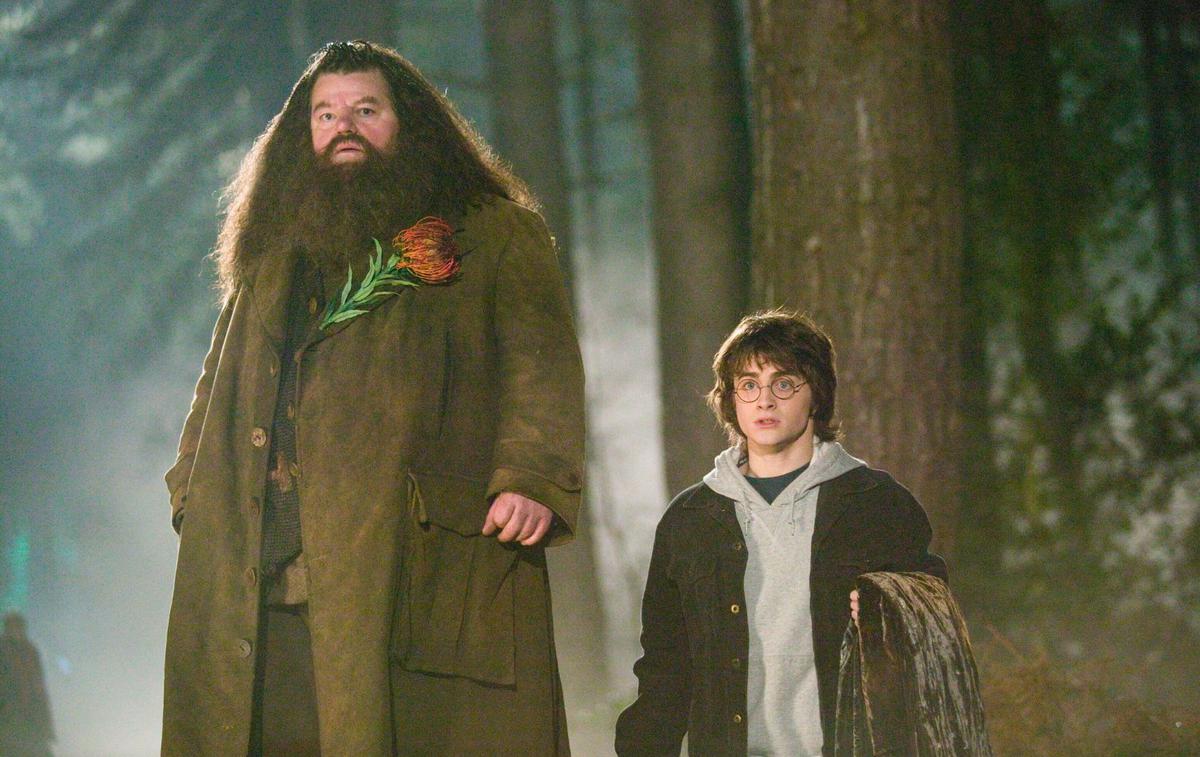 Hagrid, Harry Potter | Oboževalci Harryja Potterja se lahko odslej v izolaciji kratkočasite s posebno spletno stranjo. | Foto IMDb