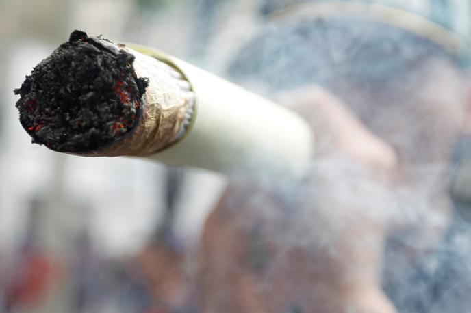 Marihuana, kanabis, džojnt, droge, THC | Foto Reuters