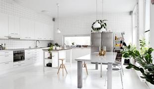 Prostorna kuhinja in zelena terasa - načrt za popoln dom? (foto)