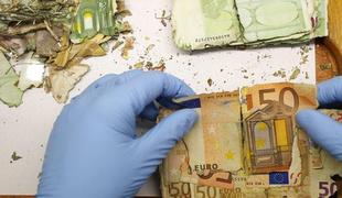 Ali Slovenija lahko sama reši svoje banke ali potrebuje pomoč trojke?