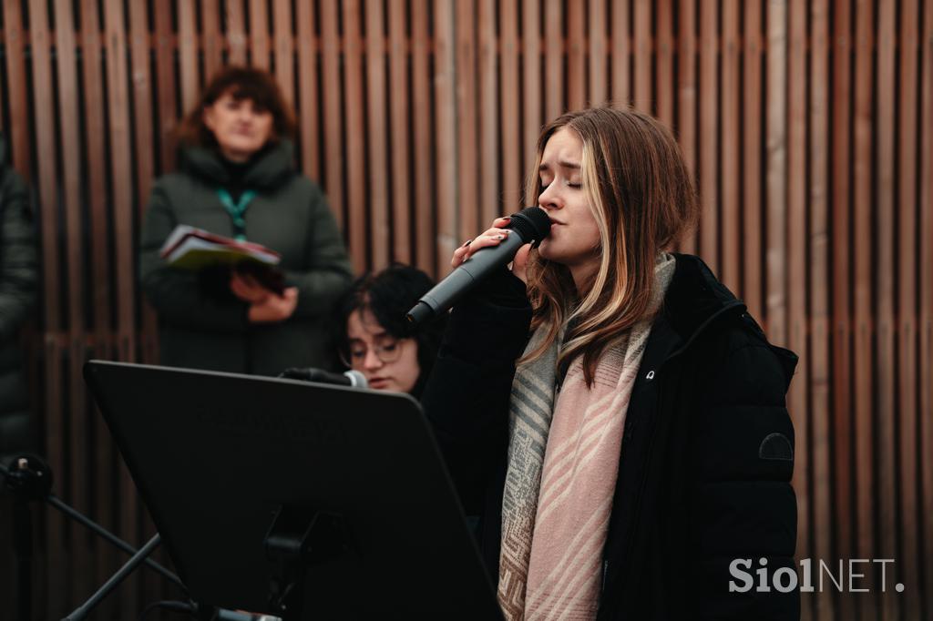 Šola za hortikulturo in vizualne umetnosti Celje