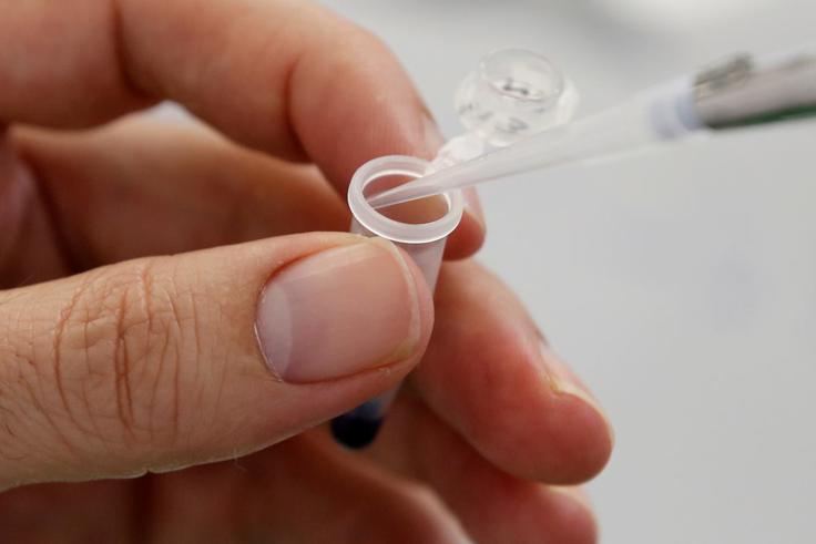 Laboratorij | Foto: Reuters