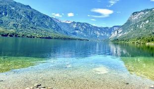 Po kopanju v Bohinjskem jezeru poginil še en pes
