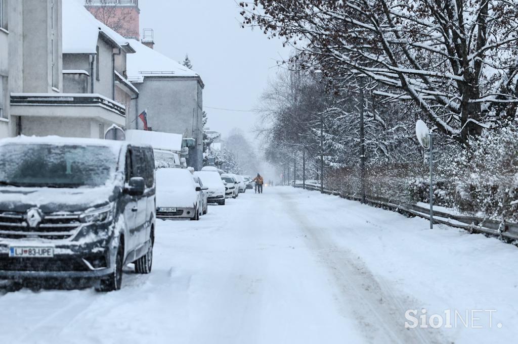 Sneg v Ljubljani