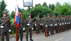 Za petino zmanjšujemo usposobljenost Slovenske vojske 