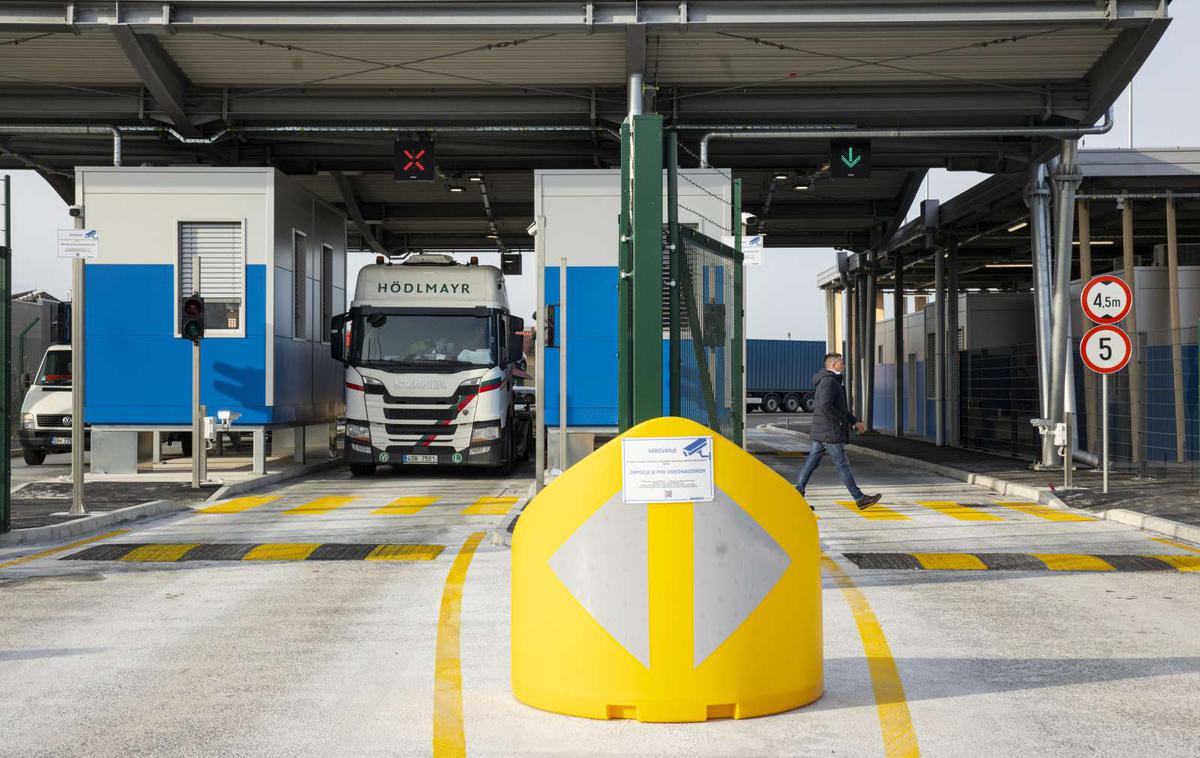 Luka Koper, terminal pri Serminu | Izpad sistema je ohromil Luko Koper.  | Foto Bor Slana/STA