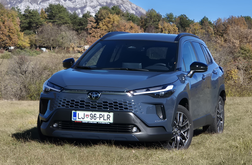 Na cesti ne izstopa, jo imajo ravno zato radi? Prostora veliko, poraba pod petimi litri.