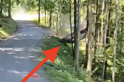 Včeraj na Gorenjskem: po zraku s ceste, odbil je tudi drevo #video