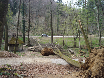 Veter veliko škode povzročil tudi v gozdovih #video