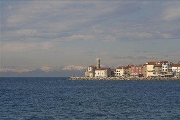 Ploštajnerjeva: Strateški svet soglasno za šest do osem pokrajin