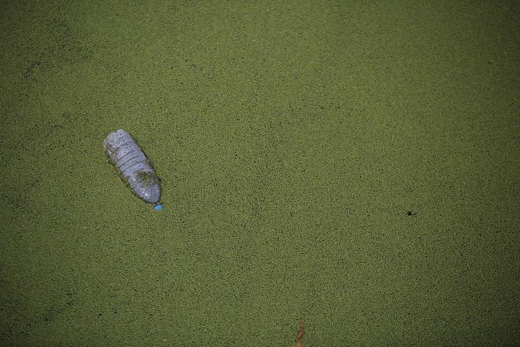 Onesnažene reke, Šanghaj, Kitajska.  | Foto: Reuters