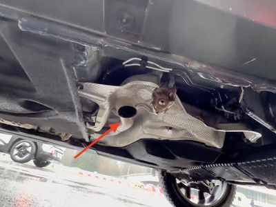 Kje je izpušna cev? Le eden od petih jo pokaže, tako smo jo iskali pri dacia bigsterju.