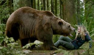 Srhljivka o boju z velikanskim medvedom