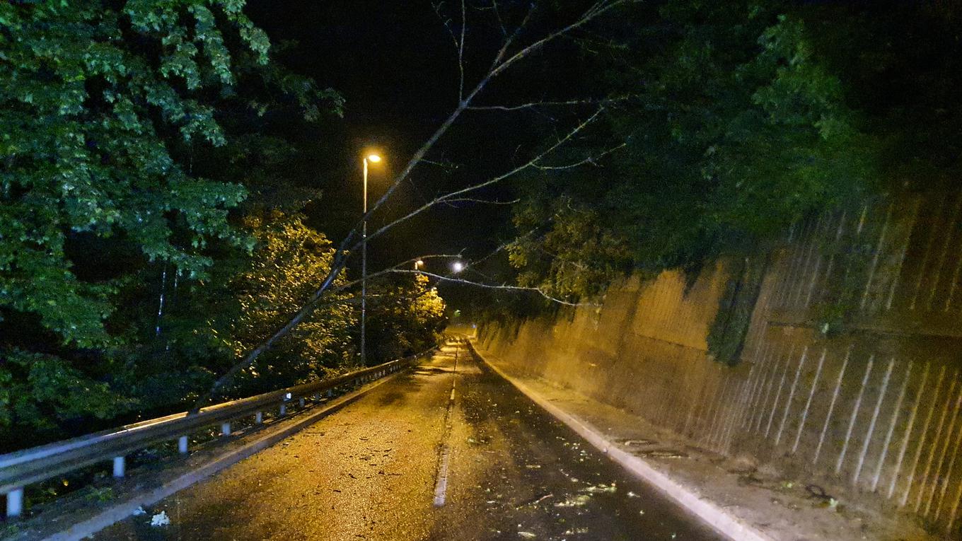 Even tomorrow afternoon, windbreaks cannot be ruled out. Heavy downpours will be accompanied by strong winds. Gusts can reach 80 kilometers per hour. This photo is from the archives. | Photo: David Florjančič