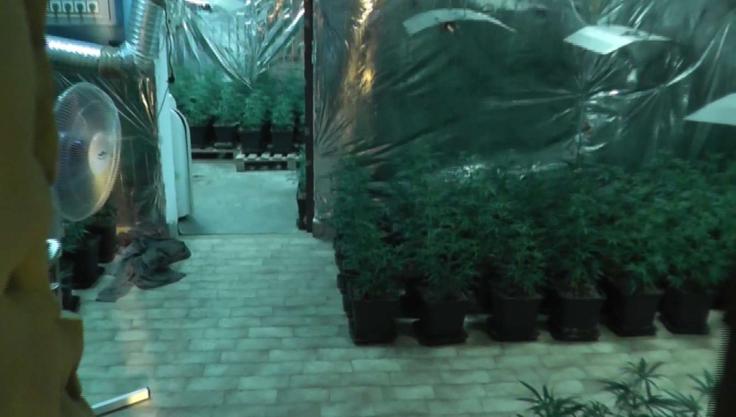 Droga | Foto: Policija