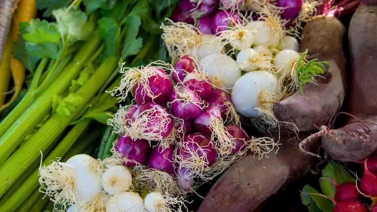 zelenjava | Foto: Shutterstock