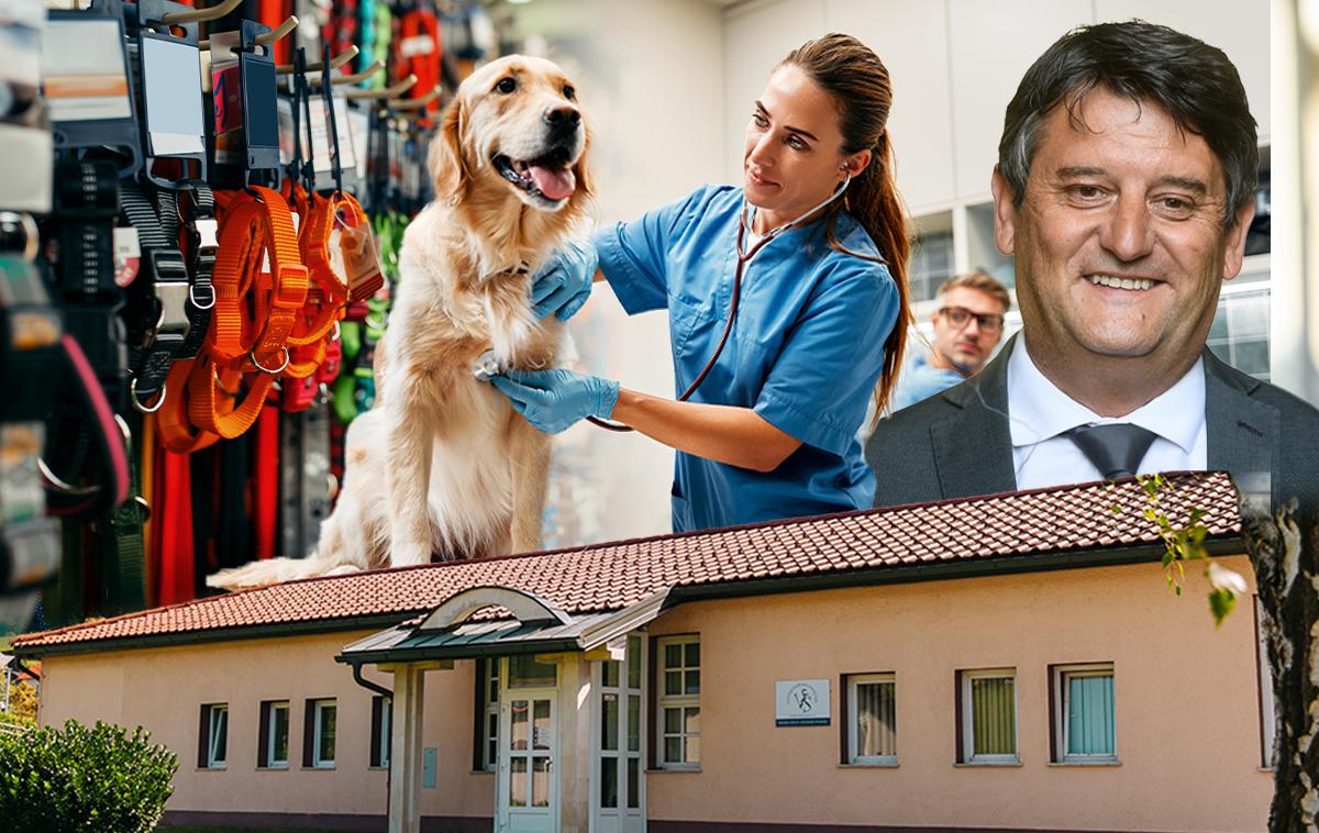 Vetreinarji | Pred koncentracijo lastništva dobršnega dela veterinarske panoge v rokah sklada zasebnega kapitala Alfi je največjo veterinarsko mrežo pri nas obvladoval Tomi Rumpf, začasni direktor državnega zavoda za blagovne rezerve v času epidemije koronavirusa in nekdanji direktor Kobilarne Lipica.  | Foto STA, Shutterstock, Veterinarska postaja Šmarje pri Jelšah