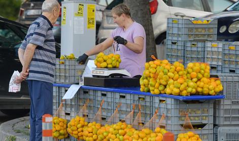 Kaj se dogaja s priljubljenimi mandarinami?