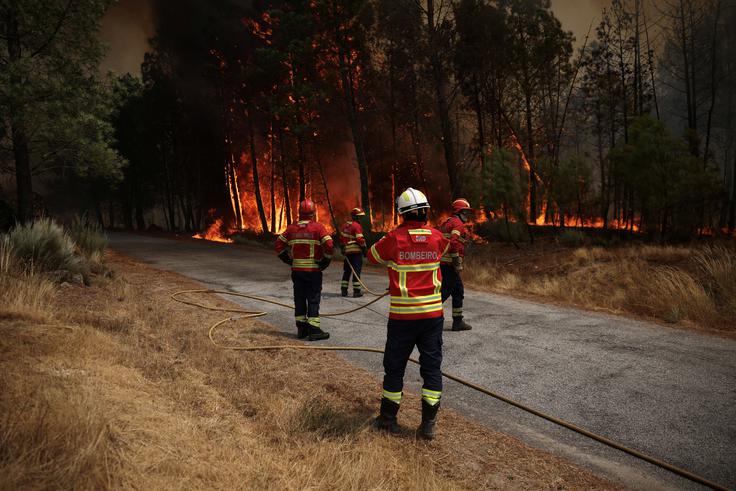 požar, Portugalska | Foto: Reuters