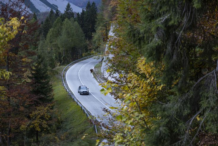 citroen c4 hibrid | Foto: Ana Kovač