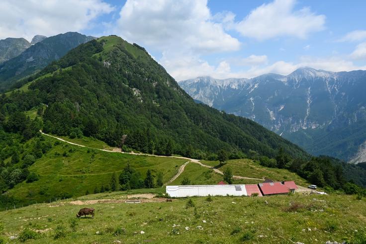Vzpon na Mrzli vrh, s pogledom na planino Pretovč in Visoč vrh | Foto: Matej Podgoršek