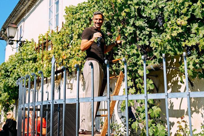 Slavko Vinčić pokazal svojo drugo plat: poglejte, kaj je oblekel za trgatev