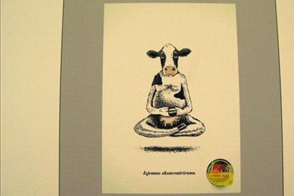 Na letošnjem SOF prijavljenih preko 600 del