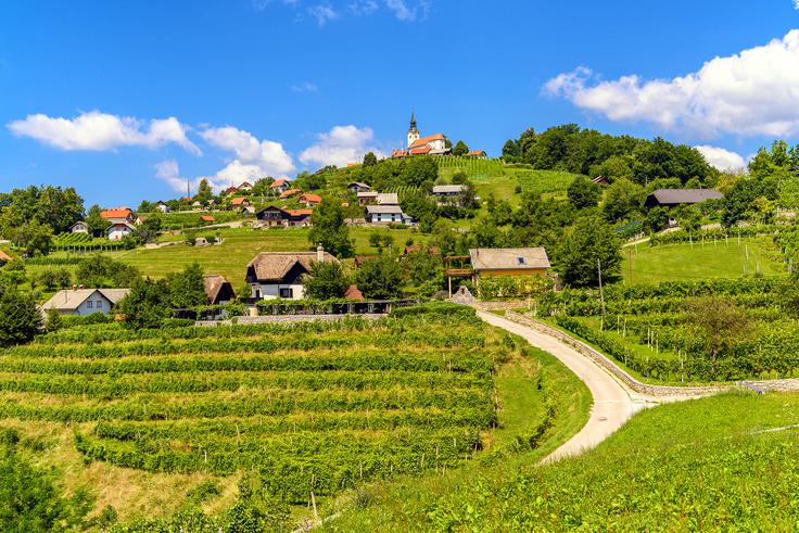 Trška gora | Foto: Andrej Tarfila (www.slovenia.info)