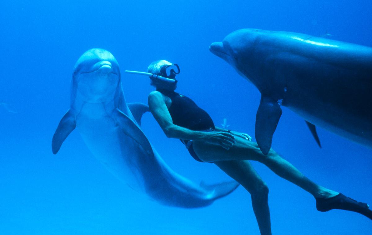 Človek delfin | Foto Demiurg