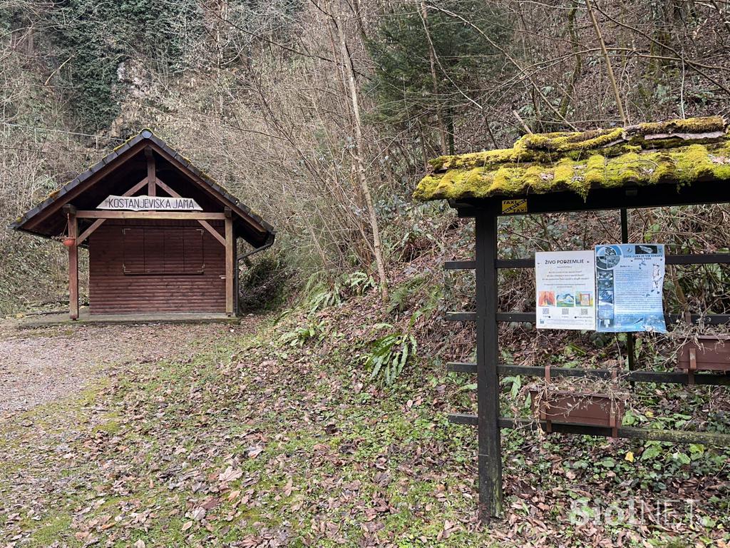 Kostanjevica na Krki, reka Studena