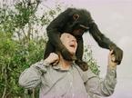 Jane Goodall
