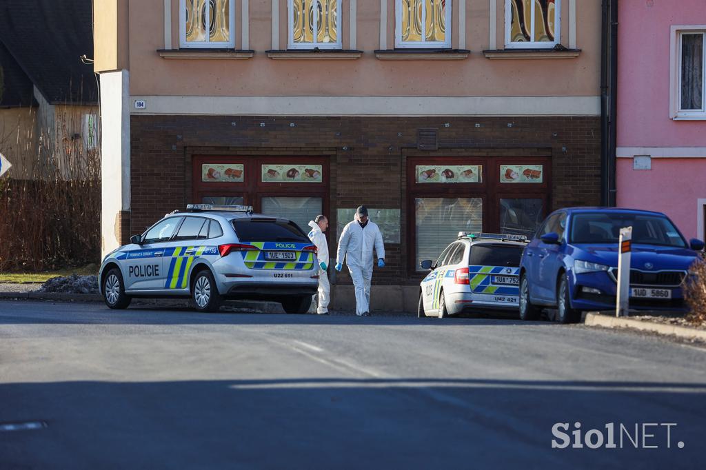 Streljanje na Češkem, češka policija