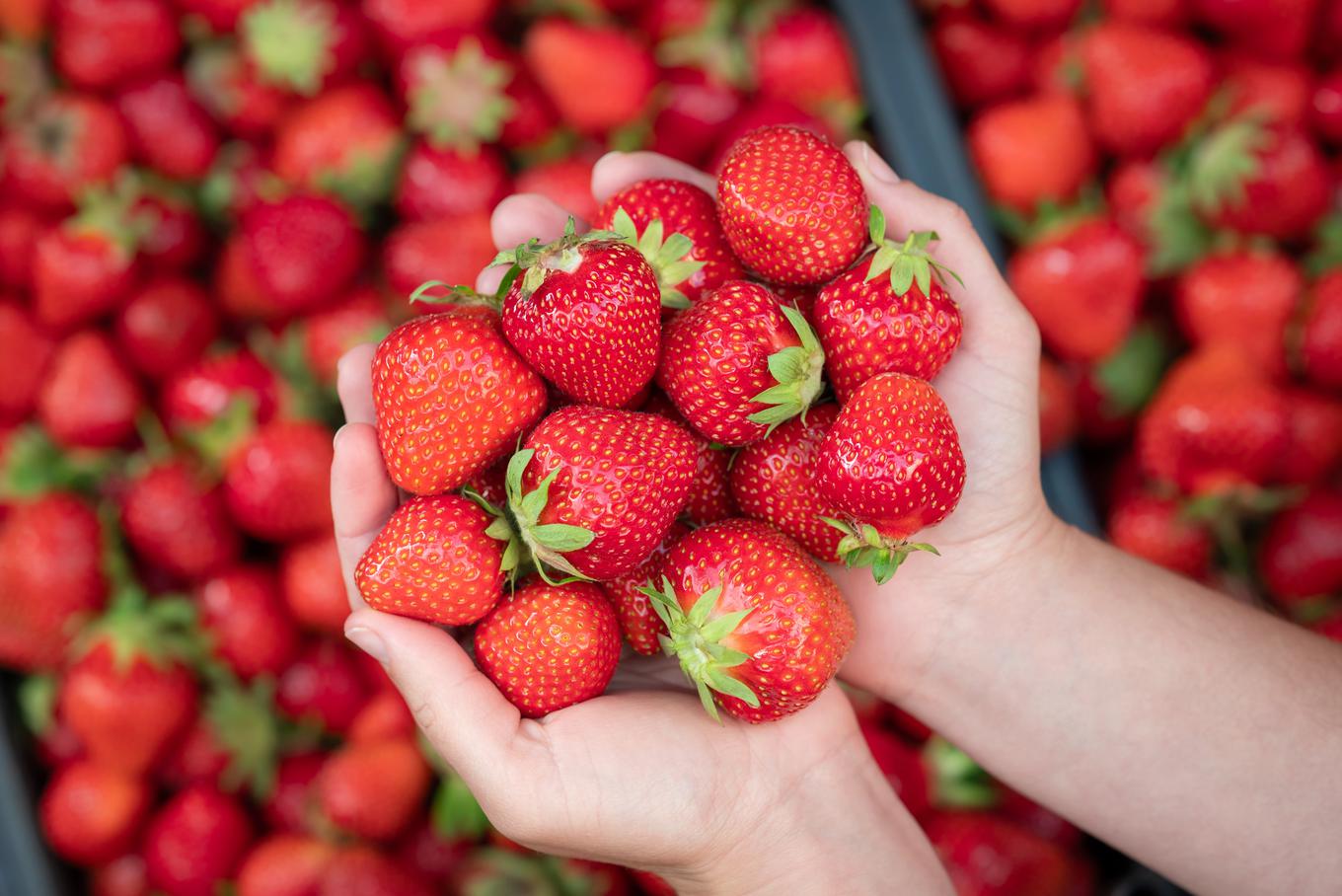 Keep strawberries frozen as this is key to freshness. | Photo: Shutterstock