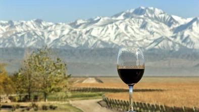 Malbec, trend letošnjega leta