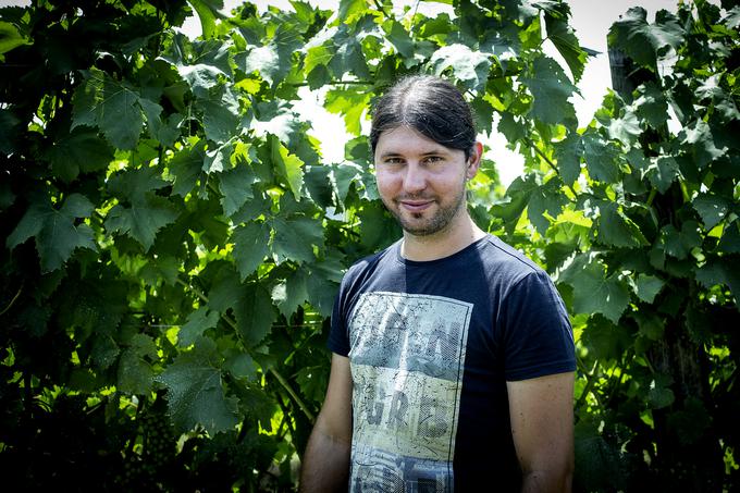 Vinar Rok Ražman je eden od petih, ki sodeluje v pilotskem projektu pametnega vinograda. | Foto: Ana Kovač