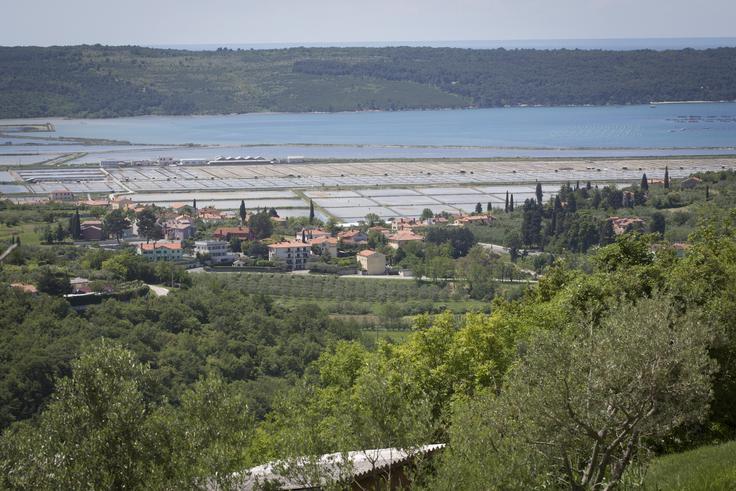 Izdelava DPN je vezana na območje letališča, ne pa na vso dolino Dragonje. | Foto: Bojan Puhek