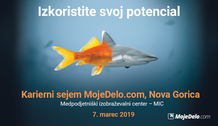 Moje delo | Foto: 