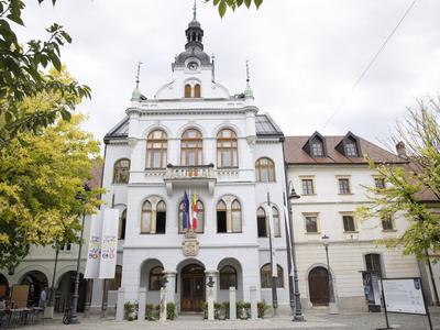 Za v torek napovedan protest pripadnikov romske skupnosti v Novem mestu odpovedan