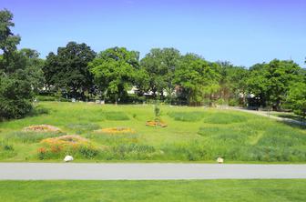 Drugačno pokopališče: zadnji počitek na cvetočem travniku