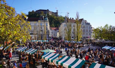 November obljublja vrhunsko vinsko pokušino