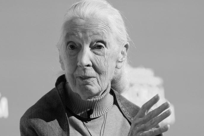 Jane Goodall | Foto Reuters